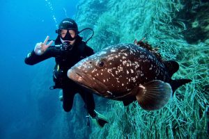 Diving