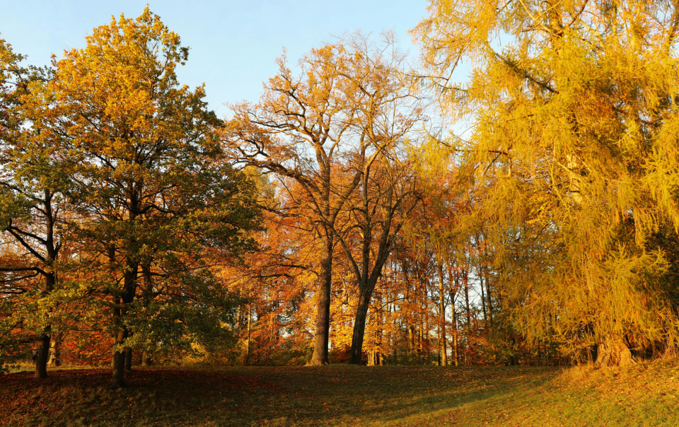 Panoramica dell’Isola d’Elba in autunno con la macchia mediterranea