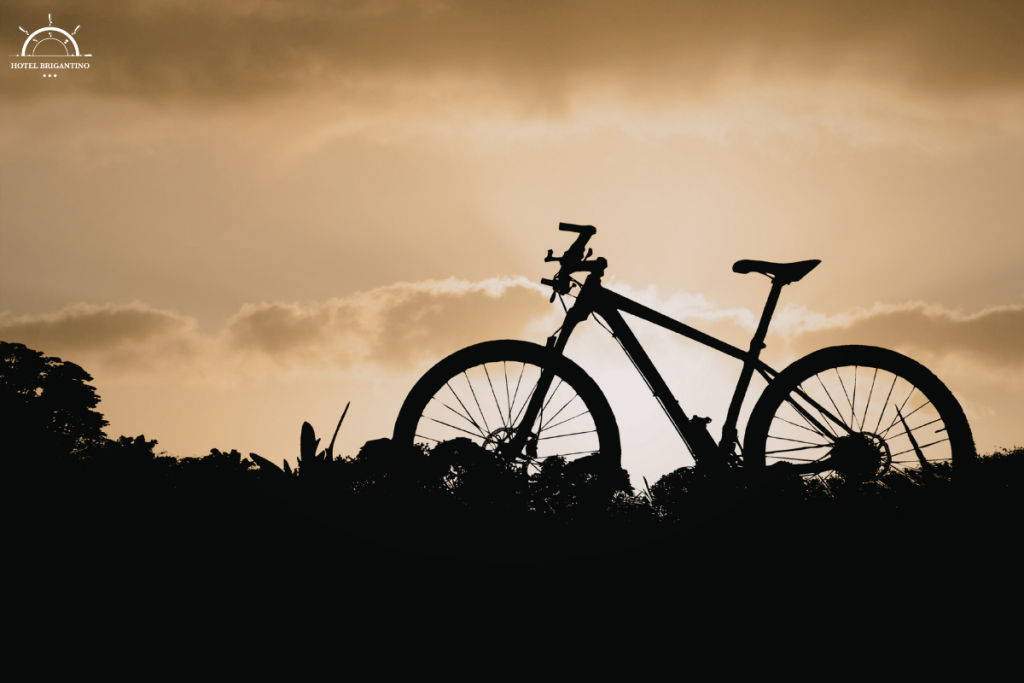 bici al tramonto