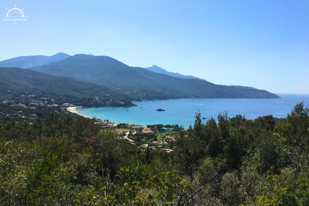 golfo di procchio