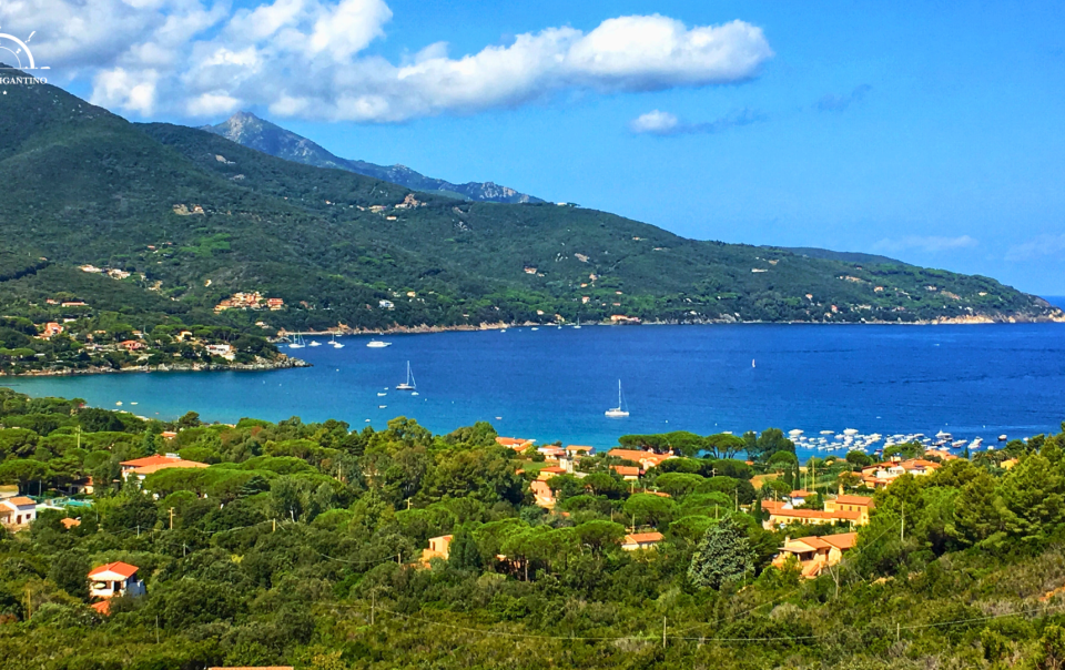 golfo di procchio