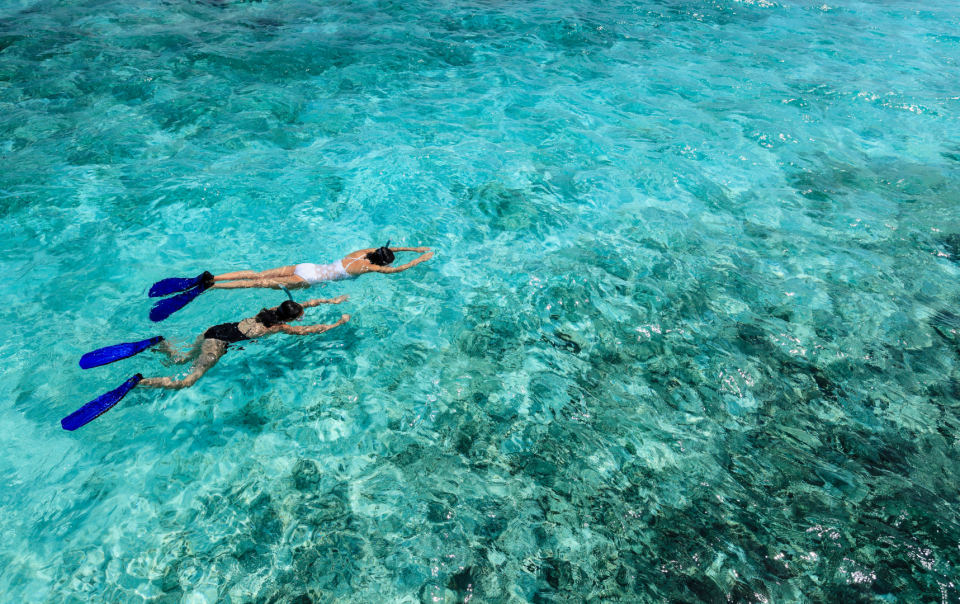 snorkeling all'isola d'elba