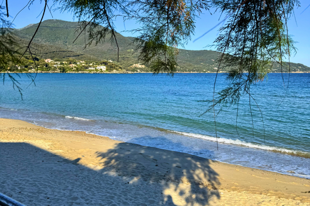 spiaggia di procchio isola d'elba