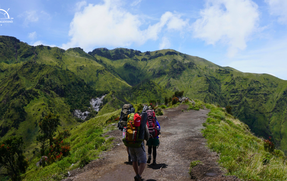 persone che fanno trekking
