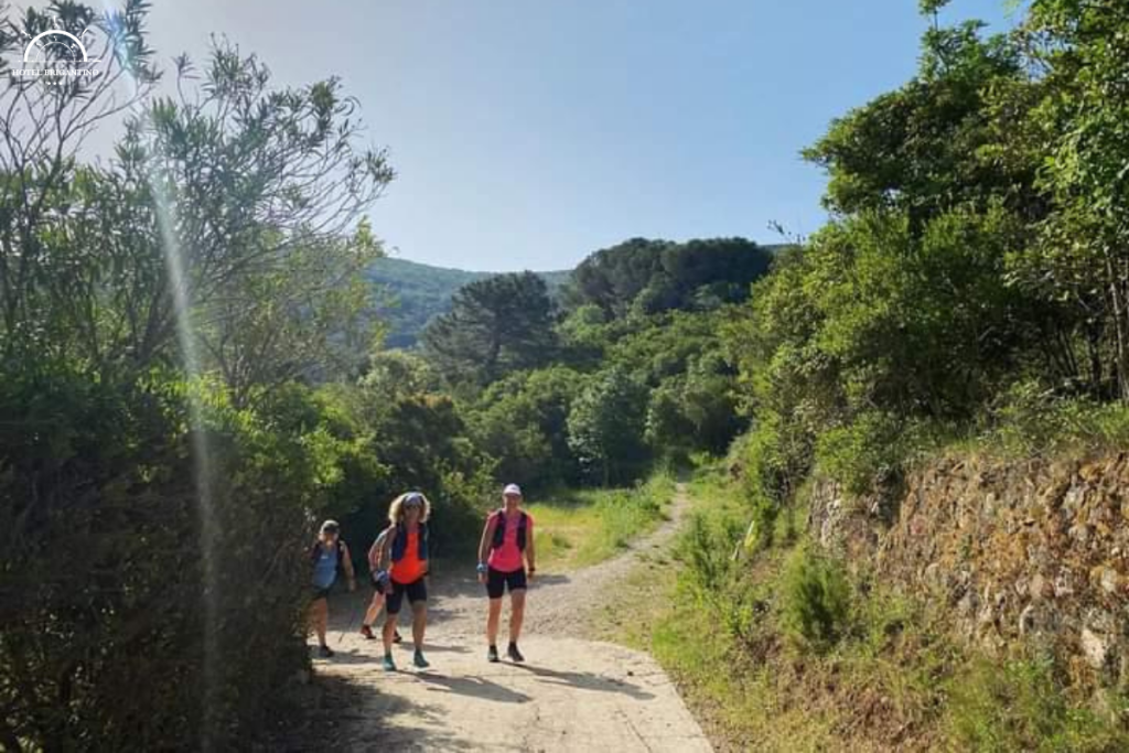 persone che fanno trekking