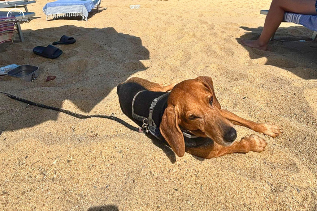 otto mascotte brigantino spiaggia procchio