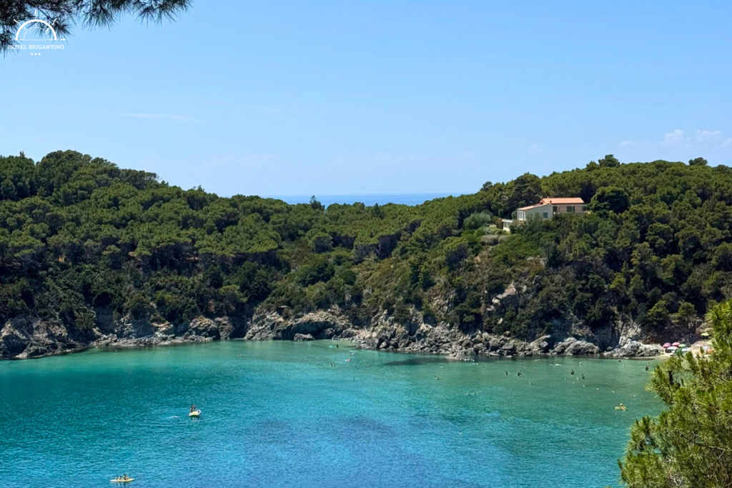 spiaggia fetovaia isola d'elba
