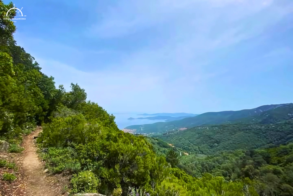 sentiero isola d'elba
