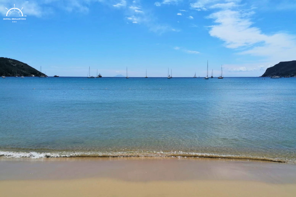 spiaggia lacona isola d'elba